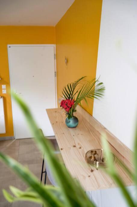 Le Marie-Agnes Appartement Neuf De Standing Fort-de-France Kültér fotó